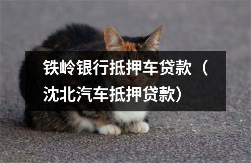 铁岭银行抵押车贷款（沈北汽车抵押贷款）