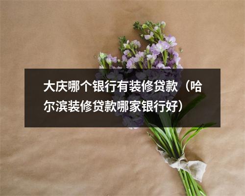 大庆哪个银行有装修贷款（哈尔滨装修贷款哪家银行好）