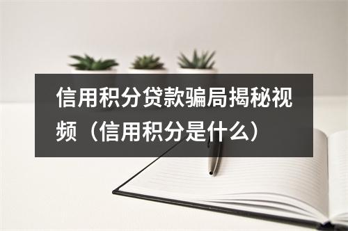 信用积分贷款骗局揭秘视频（信用积分是什么）