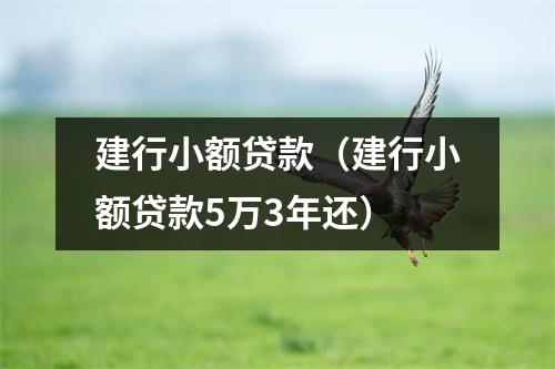建行小额贷款(建行小额贷款5万3年还)