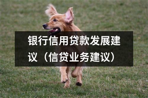 银行信用贷款发展建议（信贷业务建议）