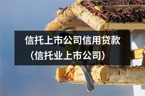 信托上市公司信用贷款（信托业上市公司）