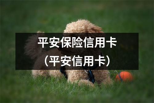 平安保险信用卡（平安信用卡）