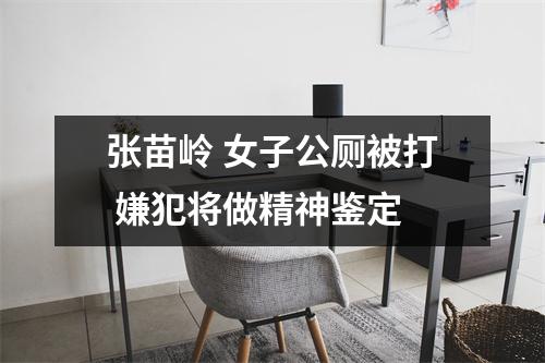 张苗岭 女子公厕被打 嫌犯将做精神鉴定