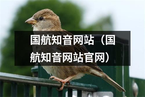 国航知音网站（国航知音网站官网）