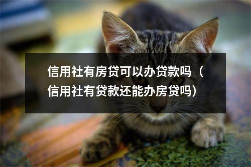 信用社有房贷可以办贷款吗（信用社有贷款还能办房贷吗）