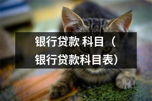 银行贷款 科目（银行贷款科目表）