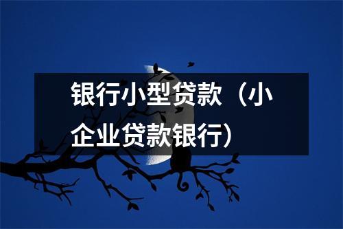 银行小型贷款（小企业贷款银行）