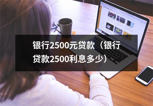 银行2500元贷款（银行贷款2500利息多少）