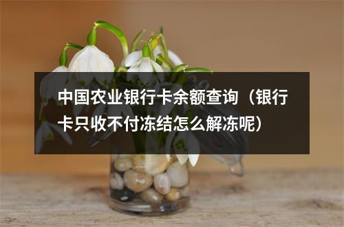 中国农业银行卡余额查询（银行卡只收不付冻结怎么解冻呢）