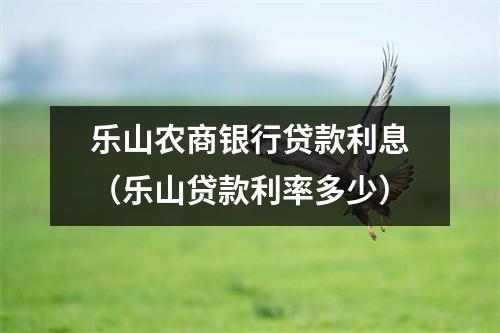 乐山农商银行贷款利息（乐山贷款利率多少）