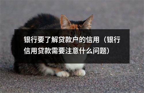 银行要了解贷款户的信用（银行信用贷款需要注意什么问题）