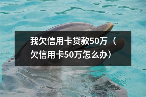 我欠信用卡贷款50万（欠信用卡50万怎么办）