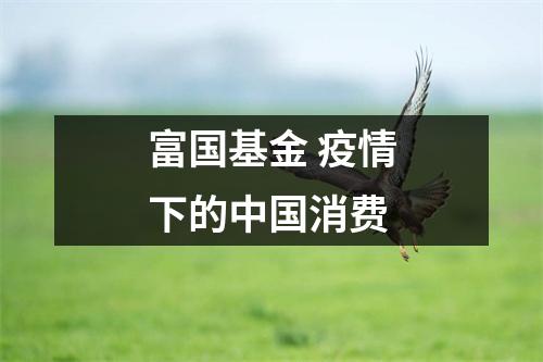 富国基金 疫情下的中国消费