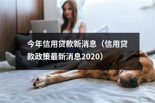 今年信用贷款新消息（信用贷款政策最新消息2020）