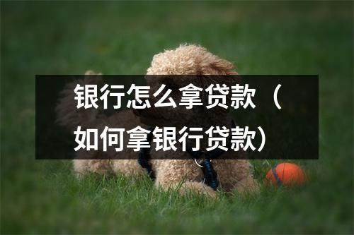 银行怎么拿贷款（如何拿银行贷款）