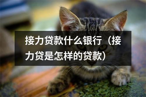 接力贷款什么银行（接力贷是怎样的贷款）