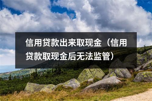 信用贷款出来取现金（信用贷款取现金后无法监管）