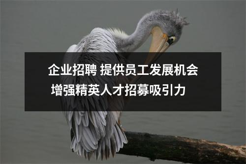 企业招聘 提供员工发展机会 增强精英人才招募吸引力