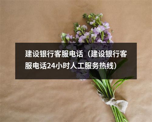 建设银行客服电话（建设银行客服电话24小时人工服务热线）