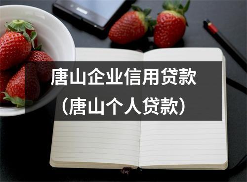 唐山企业信用贷款（唐山个人贷款）