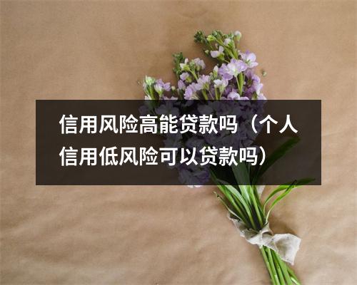 信用风险高能贷款吗（个人信用低风险可以贷款吗）