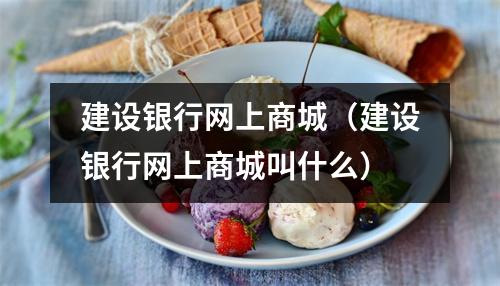 建设银行网上商城（建设银行网上商城叫什么）