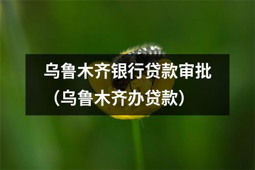 乌鲁木齐银行贷款审批（乌鲁木齐办贷款）