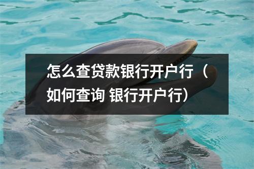 怎么查贷款银行开户行（如何查询 银行开户行）