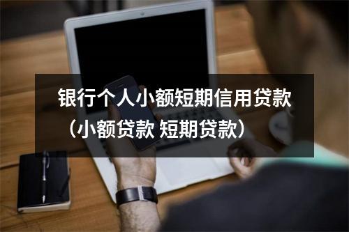 银行个人小额短期信用贷款（小额贷款 短期贷款）