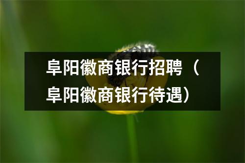 阜阳徽商银行招聘（阜阳徽商银行待遇）