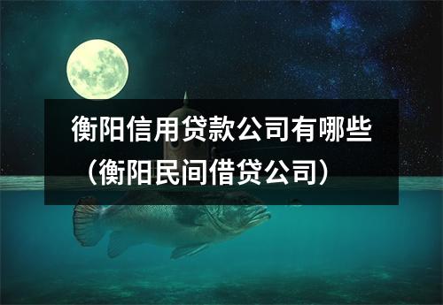 衡阳信用贷款公司有哪些(衡阳民间借贷公司)