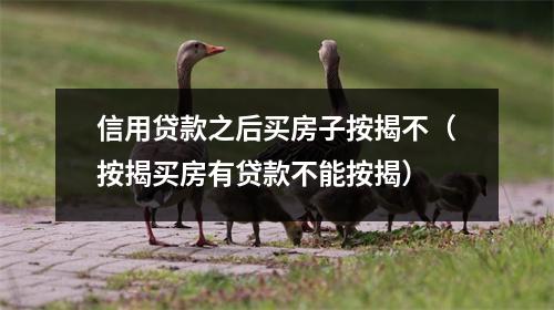 信用贷款之后买房子按揭不（按揭买房有贷款不能按揭）