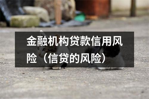 金融机构贷款信用风险（信贷的风险）