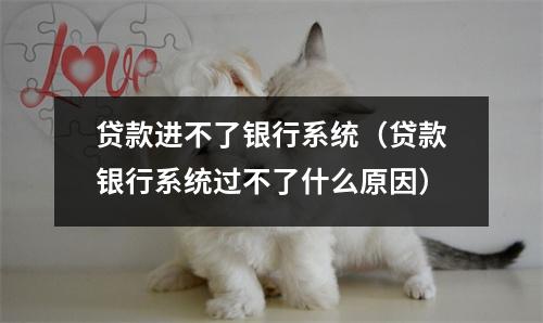 贷款进不了银行系统（贷款银行系统过不了什么原因）