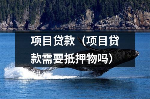 项目贷款（项目贷款需要抵押物吗）