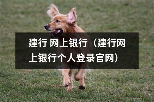 建行 网上银行（建行网上银行个人登录官网）