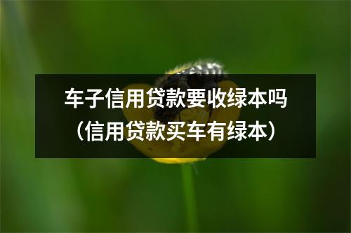 车子信用贷款要收绿本吗（信用贷款买车有绿本）