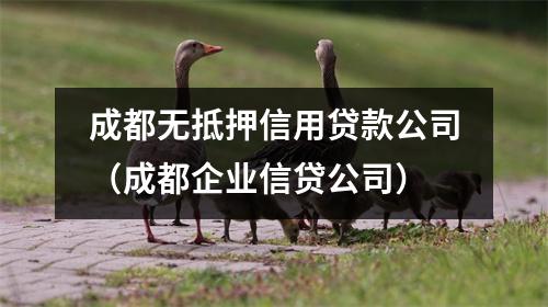 成都无抵押信用贷款公司（成都企业信贷公司）