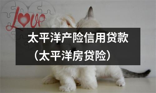 太平洋产险信用贷款（太平洋房贷险）