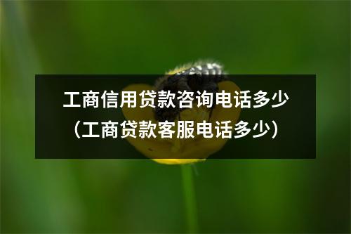 工商信用贷款咨询电话多少（工商贷款客服电话多少）