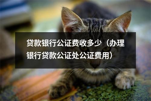 贷款银行公证费收多少（办理银行贷款公证处公证费用）