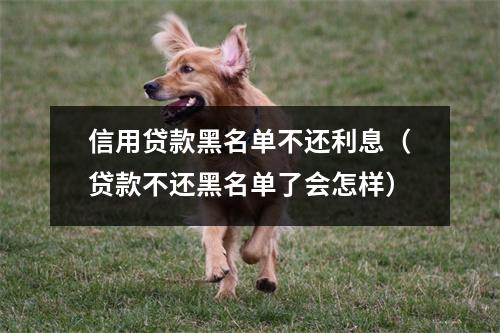 信用贷款黑名单不还利息（贷款不还黑名单了会怎样）