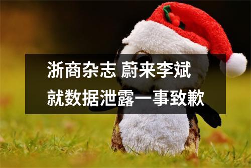 浙商杂志 蔚来李斌就数据泄露一事致歉