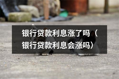 银行贷款利息涨了吗（银行贷款利息会涨吗）