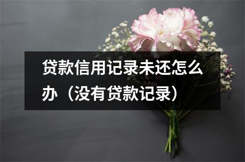 贷款信用记录未还怎么办（没有贷款记录）
