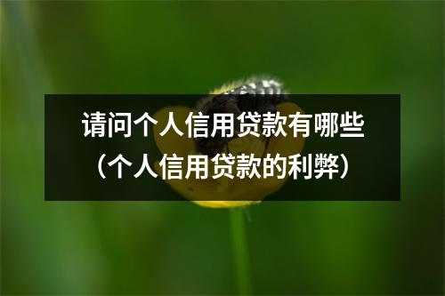 请问个人信用贷款有哪些(个人信用贷款的利弊)
