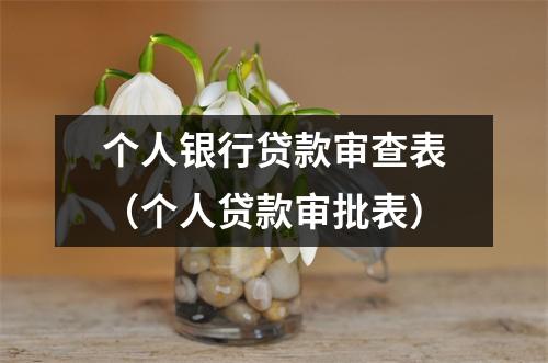 个人银行贷款审查表（个人贷款审批表）