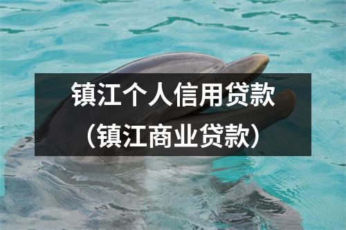 镇江个人信用贷款（镇江商业贷款）