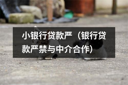 小银行贷款严（银行贷款严禁与中介合作）